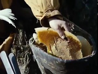 Kráľ drozdia brada 1984 - celý film ♥ CELÝ DÍL part 3/3