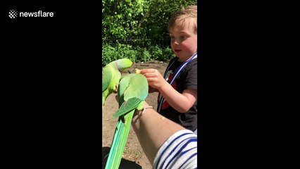 Tropical weather in London and tropical birds