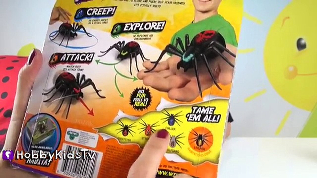 Biggest LadyBg Surprise Egg Toys HobbyKidsTV