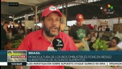 Brasil: Feria del MST visibiliza modelo de producción sin agrotóxicos