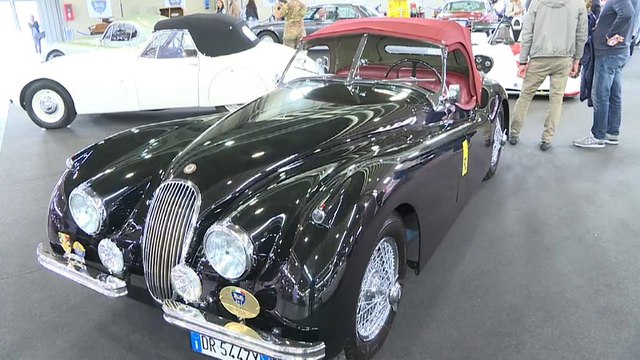 Foire des voitures de légende à Vérone