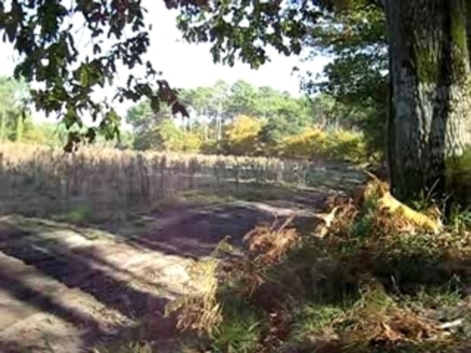 Départ arréter !!! 125 YZ vs 520 KTM