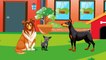 Динозаврик Дэнни - Кошка и Собака (серия 24) - Развивающие мультики для самых маленьких.