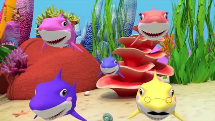 Baby Shark Dance - Sing and Dance - Animal Songs - Songs for Children