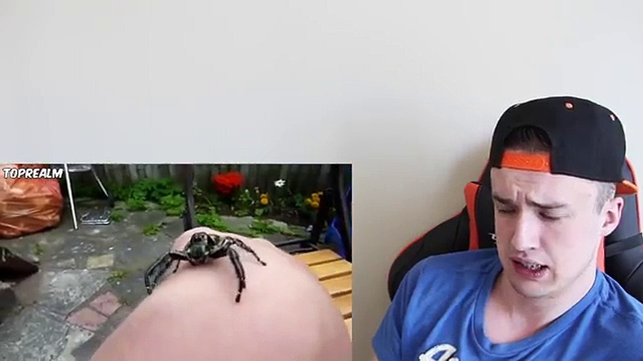 TRY NOT TO LOOK AWAY CHALLENGE 99% FAIL (Spider...