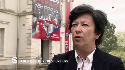 Coupe de France : la belle histoire des Herbiers