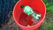 How to Build a Cheap Rat & Mouse Bucket Trap - BroBryceGardens