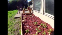 Arduino Garden Controller - Automatic Watering and Data Logging