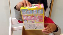 Moko Moko Mokolet Toilet Candy “Japanese candy kit” -Gacchan