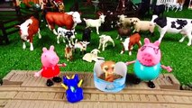Farm Animal Toy Story l Peppa Pig Animal Toys l Kids Learn Animals Names in English