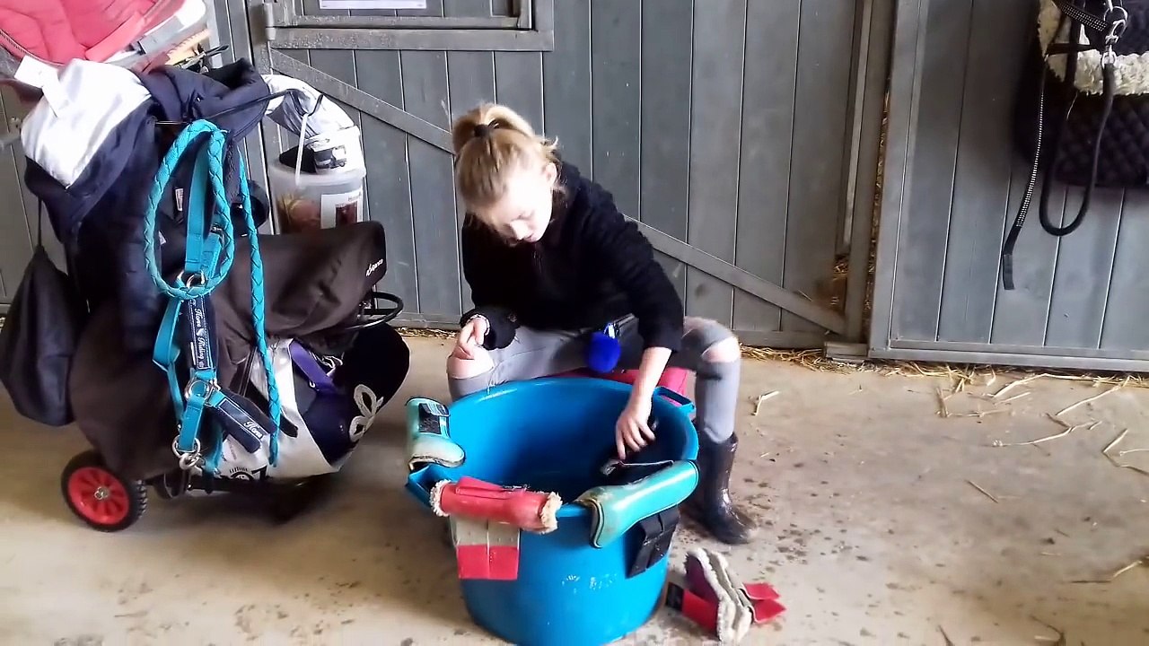 [Équitation ] Travail à pied avec EDEN
