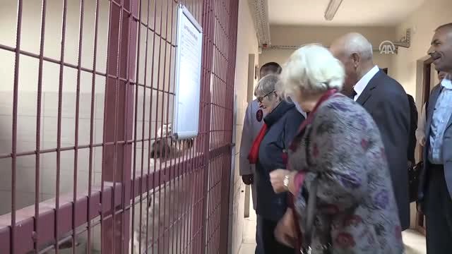 Prof. Dr. Karatay: En Güzel Kollajen ve Botoks Kelle Paçada Vardır