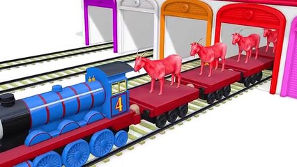 Learn Colors & Numbers for Children with Domestic Animals & Thomas Train - Kids Learning Video