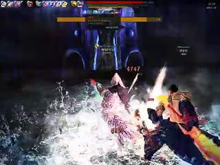 Vindictus - Hurk Succubus Queen 4 people Full party Raid / 마영전 - 허크 서큐버스 퀸 4인 레이드