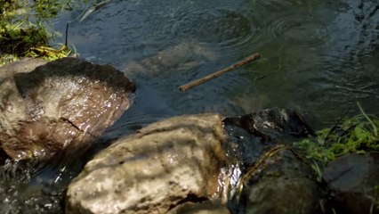 Savaşçı 43. Bölüm 1. Tanıtımı