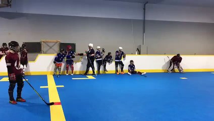 Benoit Carrier c. Daniel Deschenes (Final 29 avril 2018)