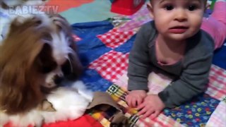 Bébés mignons jouant avec des chiens et des chats