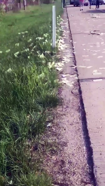 600 000 dollars tombent d'un camion de transport de fonds à cause d'une porte ouverte !