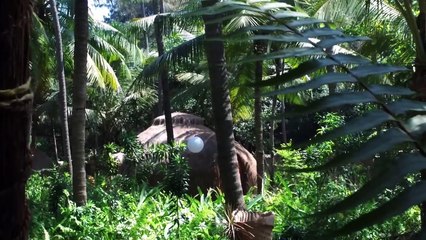 Parineeti Chopra Turns On The Heat In Goa