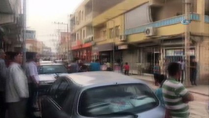 Caddeyi basan arılar, vatandaşa zor anlar yaşattı