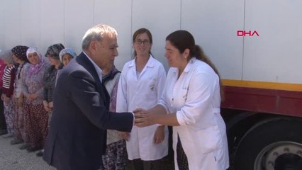 İzmir'den Dünyanın Çiçek Devi Hollanda'ya Tohum İhracatı-Hd