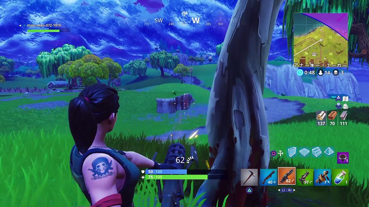 Fortnite_初ソロドン！