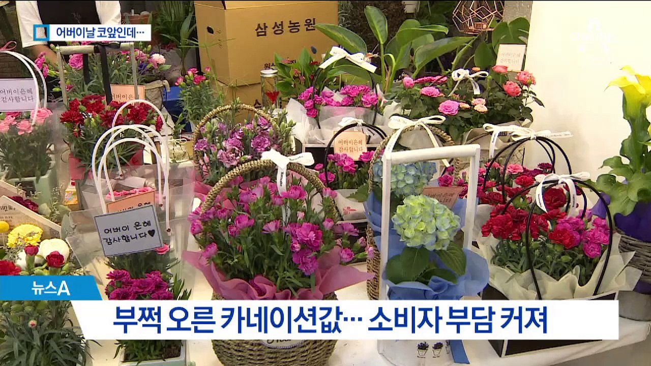 화훼농가 꽃 농사 접었더니…‘금값’ 된 카네이션
