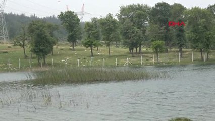 İSKİ barajlardaki buharlaşmayla Gelen Su Kaybının Önlenmesi İçin Düğmeye Bastı-1