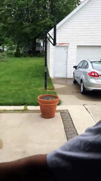 Hilarant : ce chien se cache de son maître derrière un pot de fleurs