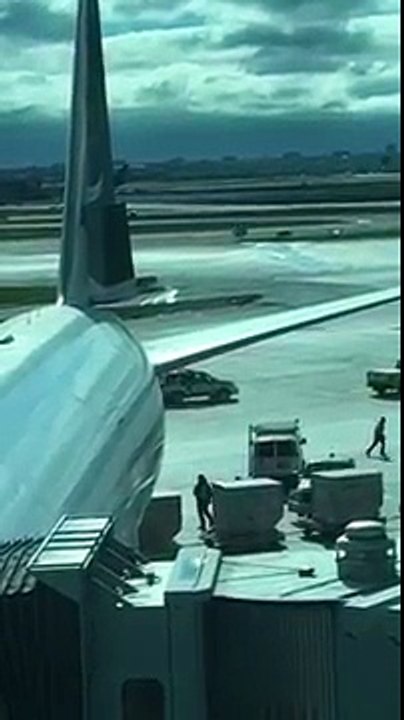 Containers à bagages vs vent à l'aéroport de Toronto