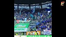 Schalke Players & Fans Crazy Celebrations After Qualifying For Champions League 2018-19
