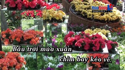 Khúc Ca Xuân - Tiểu Châu Như Quỳnh