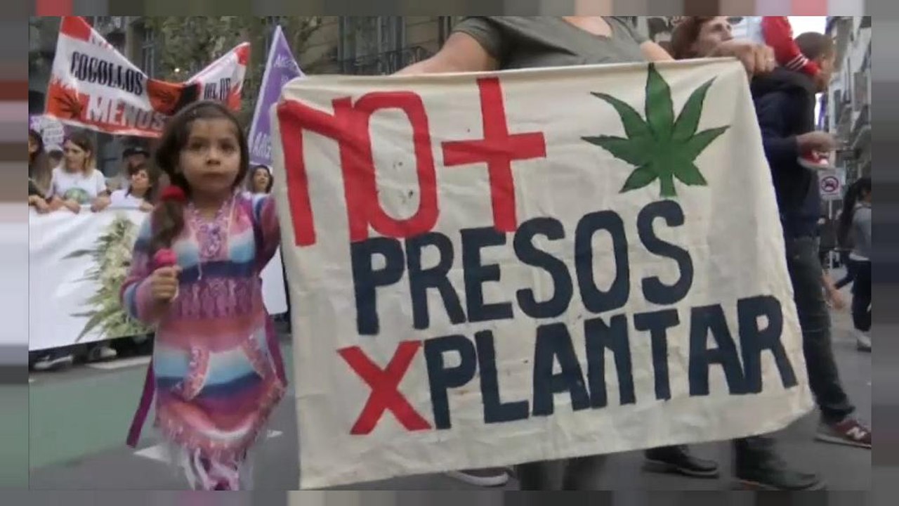 Argentinier fordern Legalisierung von Marihuana