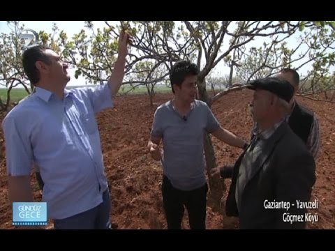 Gündüz Gece - Gaziantep - 28 Mayıs 2016