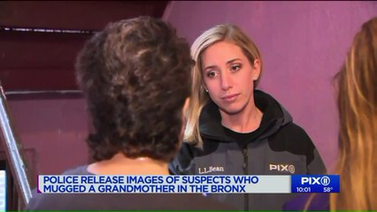Video Shows Men Robbing 63-Year-Old Woman at Knifepoint in NYC Building