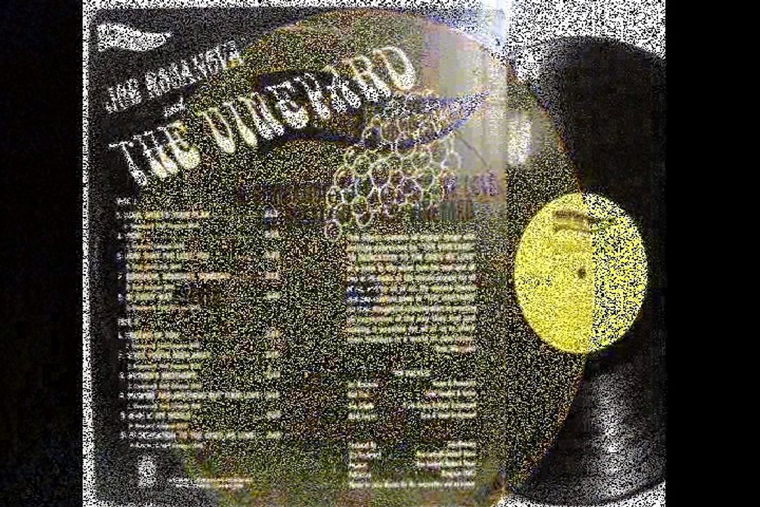 Joe Rosanova  &  The Vineyard   "Lord, What's Your Plan"  1968 US Psych Rock