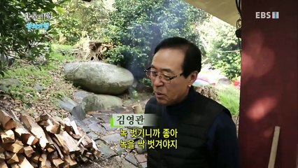 한국기행 - Korea travel_잔치기행 1부 바다에게 전하는 말_#002