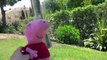 Peppa Pig se va a la piscina | Vídeos de Peppa Pig en español