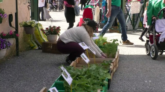 Hautes-Alpes : foire aux plants et vide-grenier ont animé le village de La Freissinouse