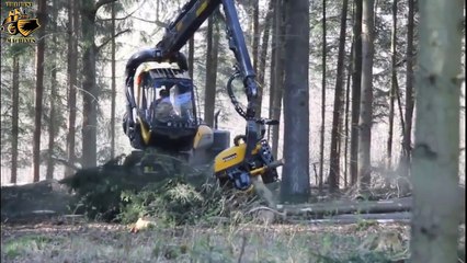 Amazing  Mega Machines Unusual Woodwork Sawmill Wood Timber Tractor Cleaver Saw Timberjack