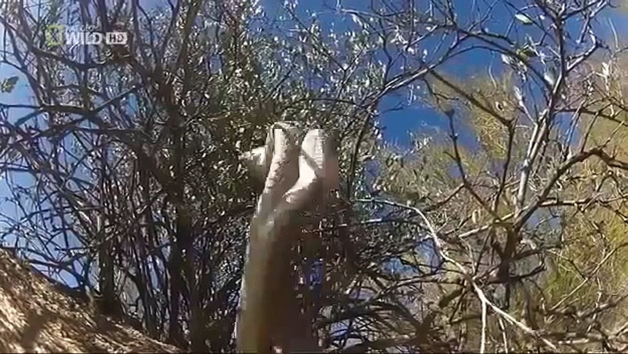 Überleben in der raue Natur [Doku deutsch]