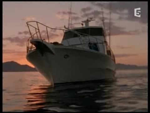 Les monstres des mers (1 sur 4)