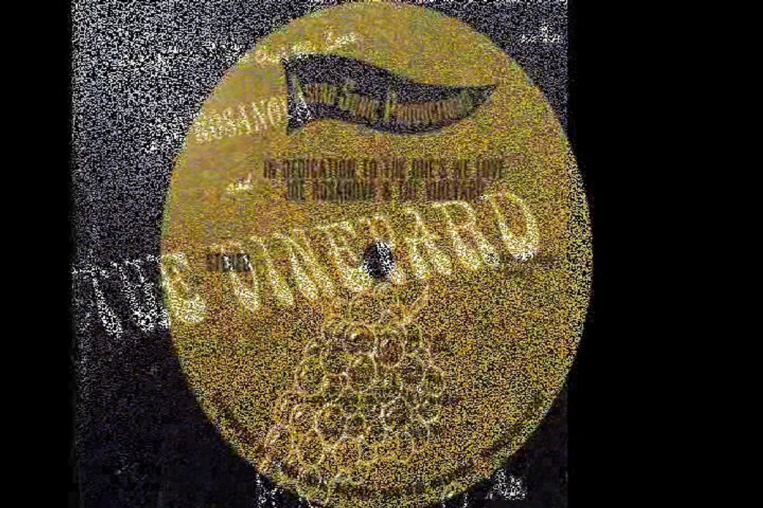 Joe Rosanova  &  The Vineyard  "Mother's Brother's" 1968 US Psych Rock