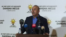 Dışişleri Bakanı Çavuşoğlu: 'Teröristlerin kökünü kazıdık' - ANTALYA