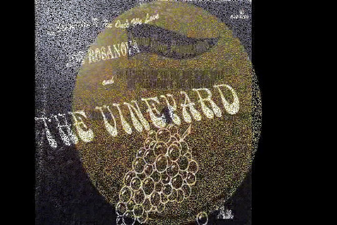 Joe Rosanova  &  The Vineyard   "Somehow, Someway, Someday"  1968 US Psych Rock