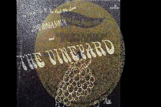 Joe Rosanova & The Vineyard Somehow, Someway, Someday 1968 US Psych Rock