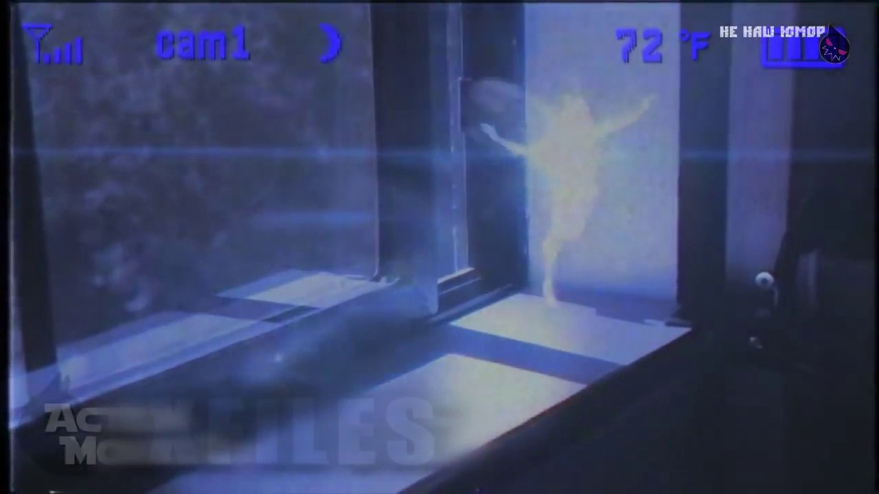 TOP 5 Les cas les plus insolites dans la vraie vie - Les petites fées existent!