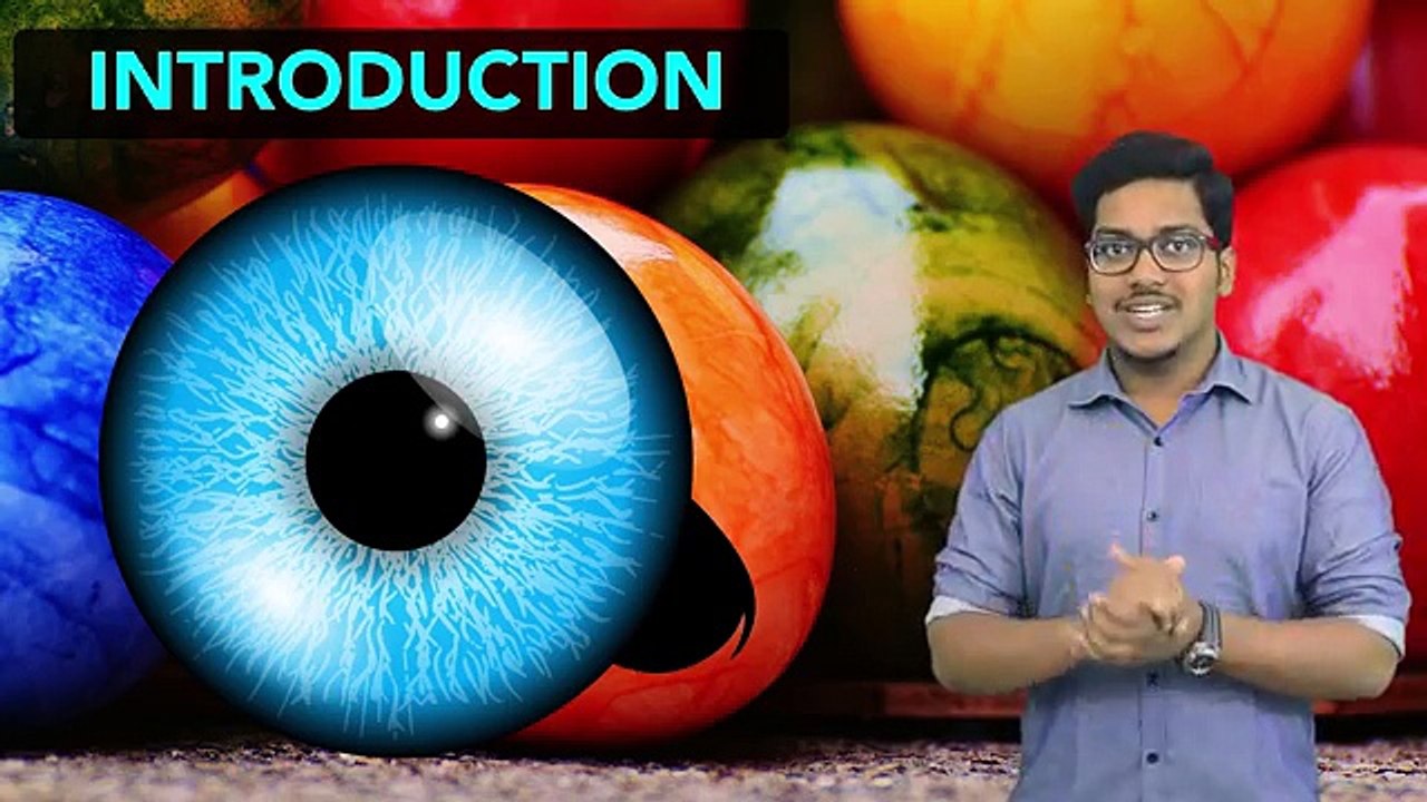 Physics_ The Human Eye and the Colorful World (Part 1)