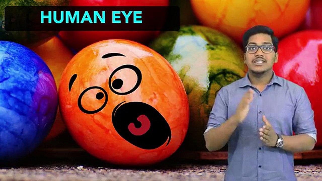 Physics_ The Human Eye and the Colorful World (Part 2)