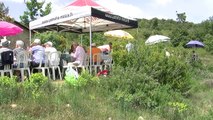 Alpes-de-Haute-Provence : à Corbières, le conseil municipal sauve la fête de l'olivier